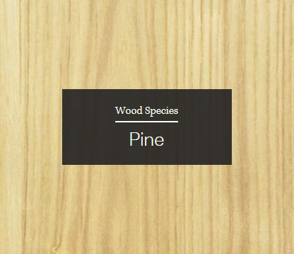 Pine Wood Sample